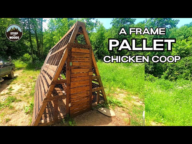 A completed chicken run covered with hardware cloth to prevent predators from entering.