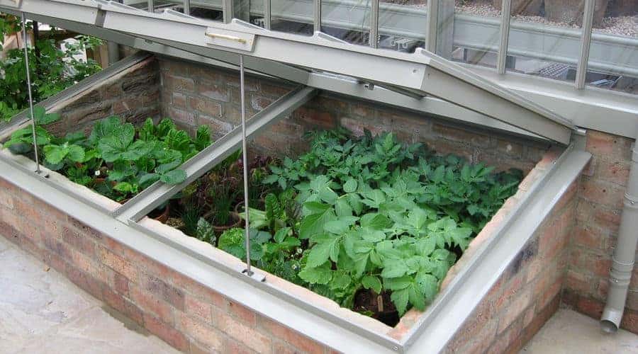 Cold Frame