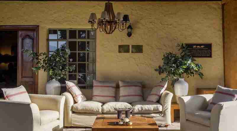 The lush green landscape of Volcanoes National Park