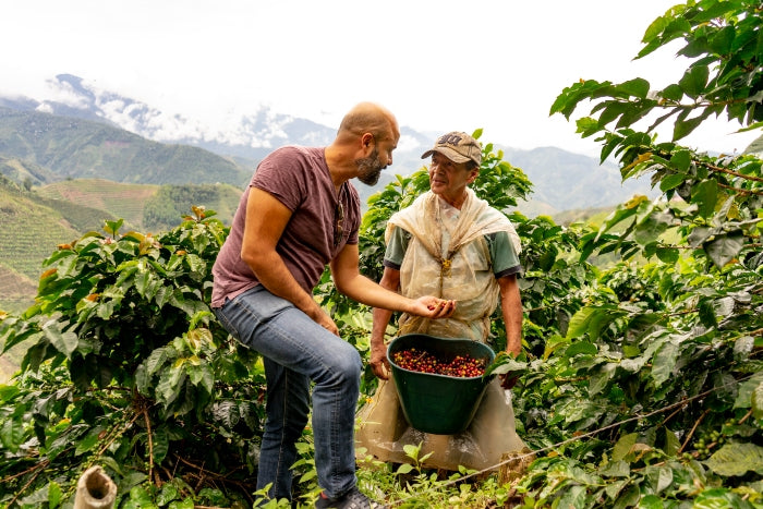 # From Portland to Paradise: A Barista's Journey T...