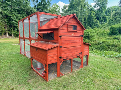 Chicken coop with flowers
