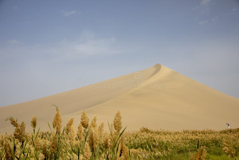Taklamakan Desert Dunes at Sunset