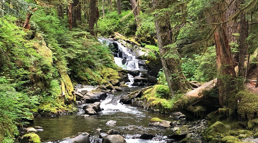 Olympic Mountains at Sunset