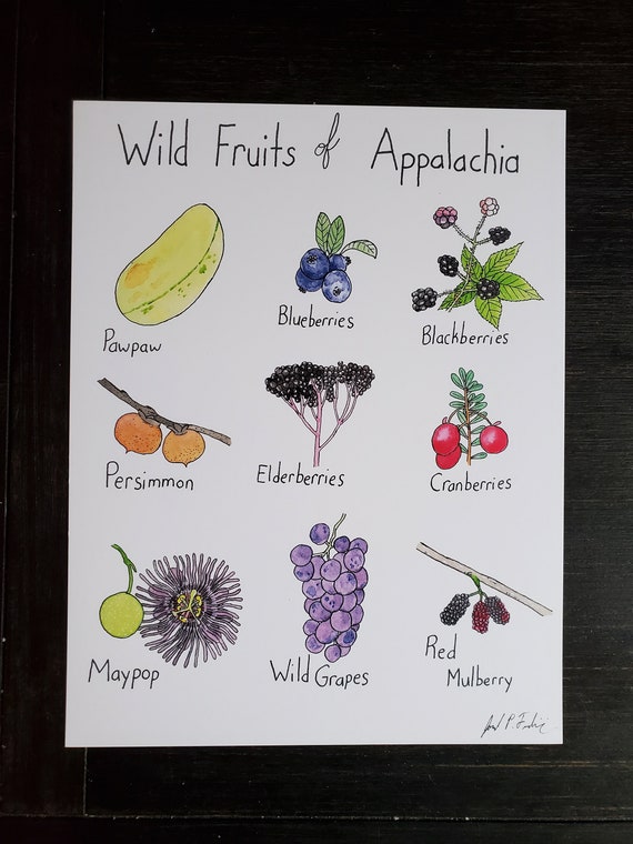 A rustic kitchen setting, highlighting the ingredients needed for making Pawpaw Bread, blending seasonal baking with the warmth of a home kitchen.