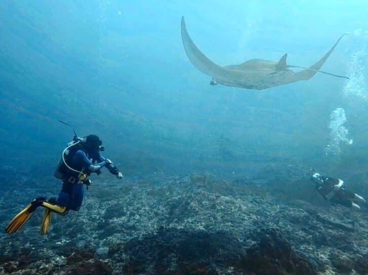 # Beyond the Beach: Unforgettable Sea Adventures Y...