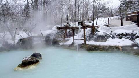 Wide angle photo of Red-crowned Cranes dancing in the snow near Tsurui Village showcasing a winter wildlife photography experience.