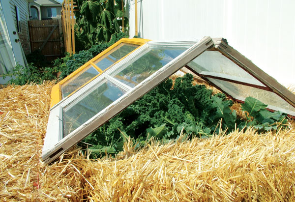 Image of hinges being attached to a cold frame with a screwdriver