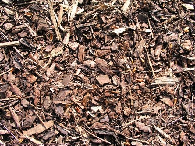 Bokashi bucket system
