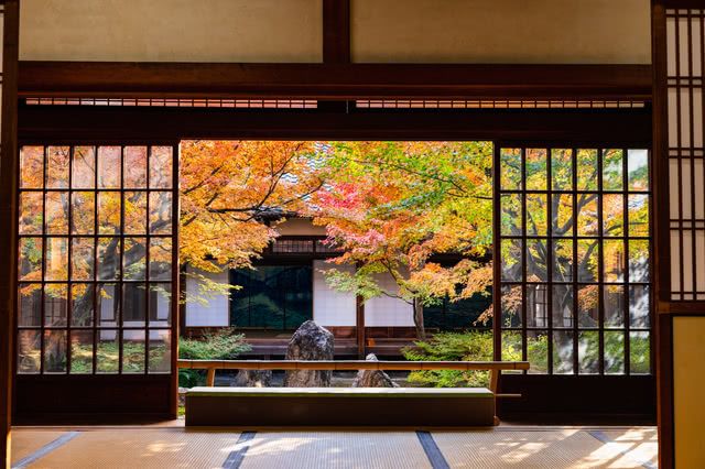 # Kyoto in Crimson: A Sensory Journey Through Autu...