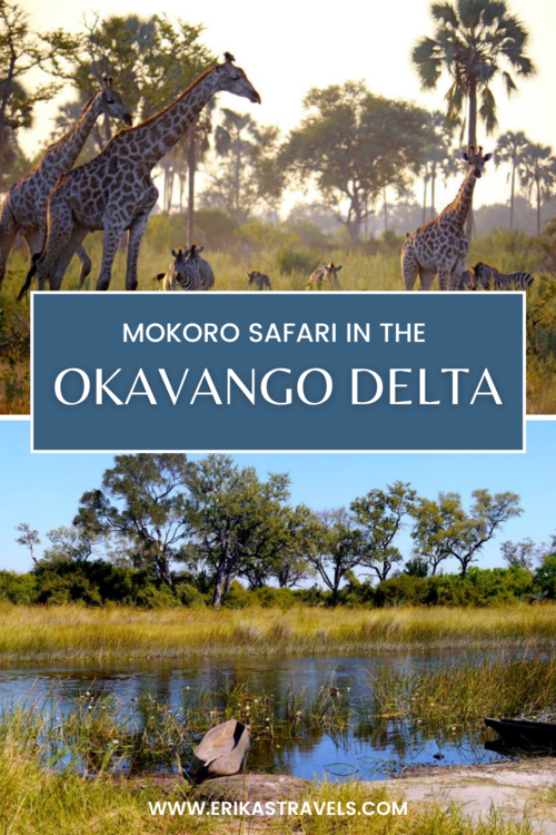 Grant Atkinson leading a photography workshop in the Okavango Delta