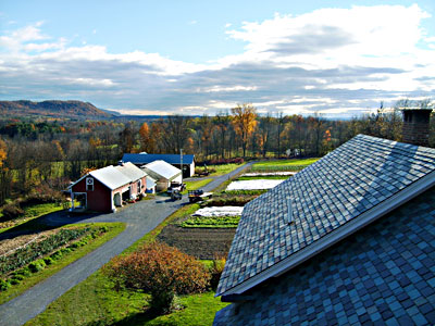 Profitable Small Farm