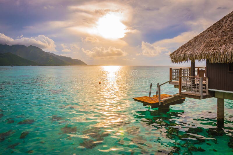 # Moorea: Where Paradise Perfume Fills the Air – A...