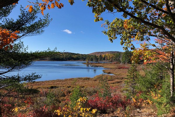 Acadia National Park in October