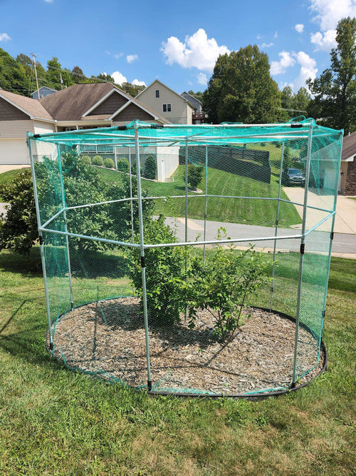 DIY Octagon shaped garden enclosure