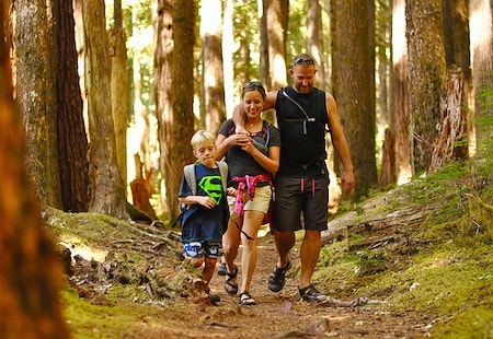 Big Meadow Trail with paved path and mountain views