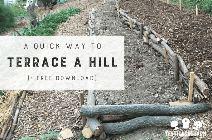 Terrace a hill