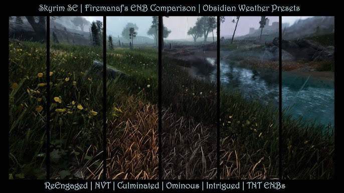 # Skyrim SE Environmental Mods: A Comprehensive Im...