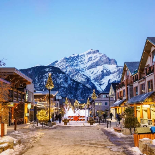 Wildlife tracking in Banff