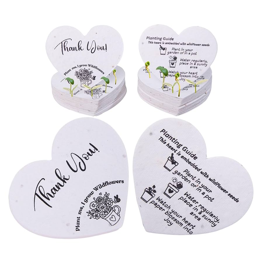 hands planting seed paper soil garden