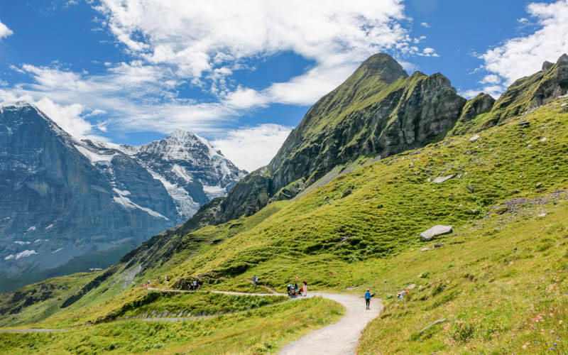 A wide panoramic view from the Männlichen Panorama Trail, showing the snow-capped peaks of the Jungfrau, Eiger, and Mönch mountains, and green meadows below.
