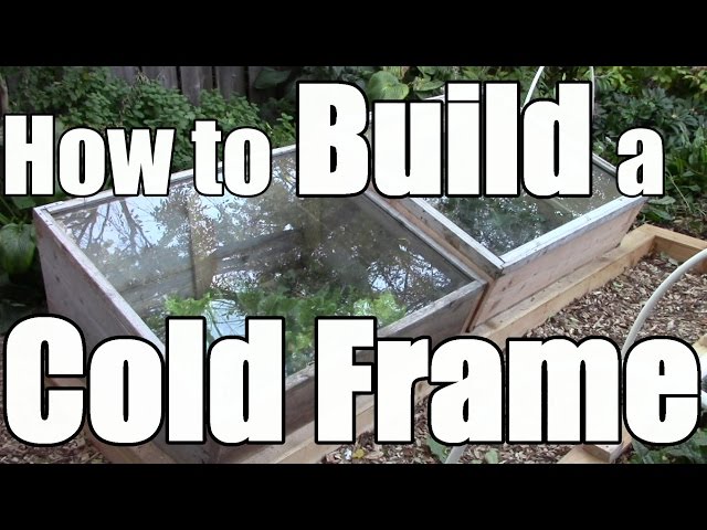 Extend Your Harvest: Build a Simple DIY Cold Frame