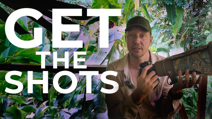The dense canopy of the Amazon rainforest, with sunlight filtering through the leaves creating a dappled effect, showcasing the lush greenery and biodiversity