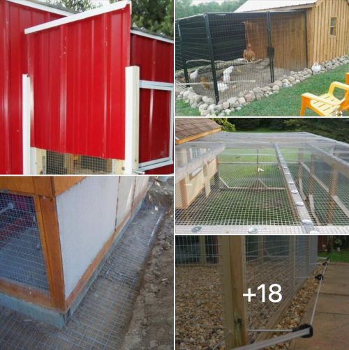 Another example of a well-protected chicken coop from all sides