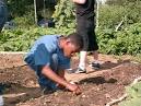 7 Organic Gardening Mistakes Beginners Always M...