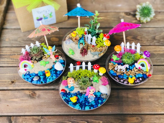 A fairy garden with a vibrant array of succulents, creating a textured and visually appealing landscape.
