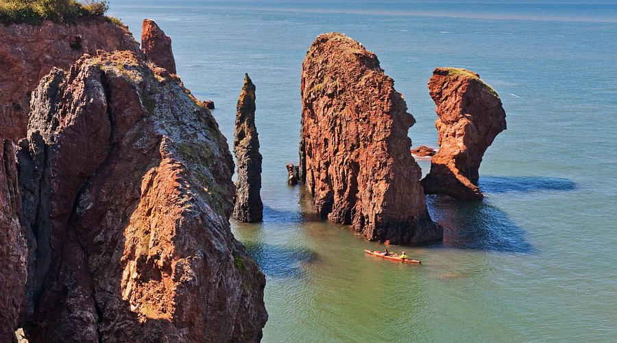 Humpback whale breaching the surface of the water, with the sunset in the background.