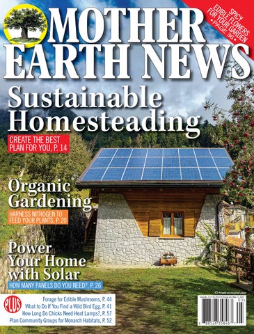 Breathing New Life into History: A DIY Guide to...