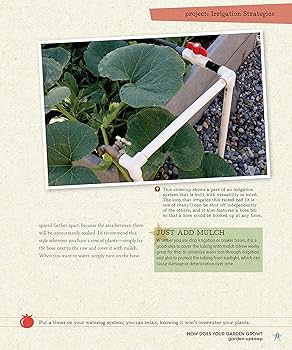 A water filter and purifier.