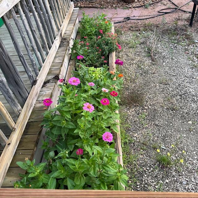rich dark compost hands garden