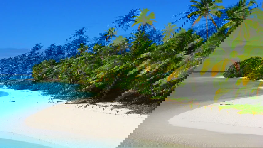 Harvesting black pearls in Aitutaki