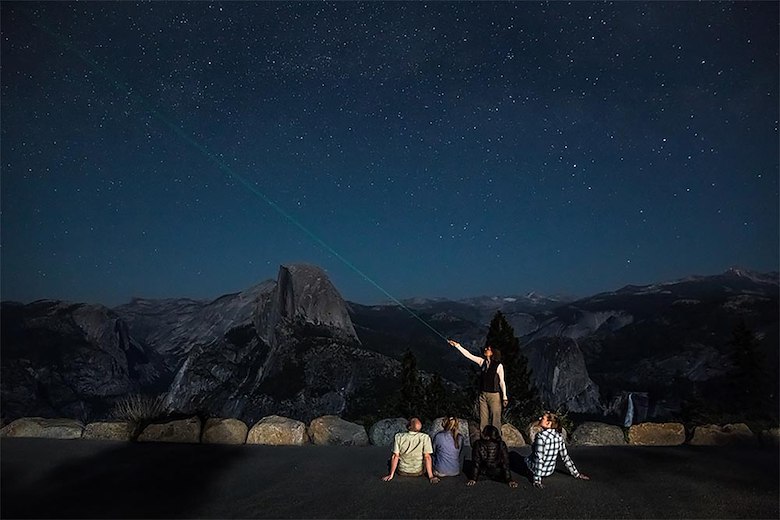 Black bear in Yosemite National Park