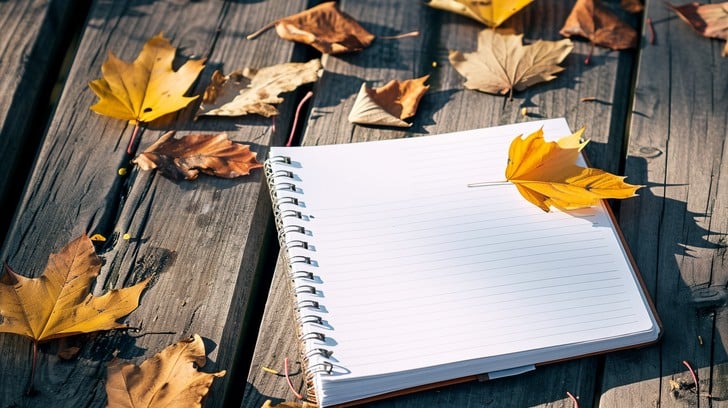 Autumn transition details