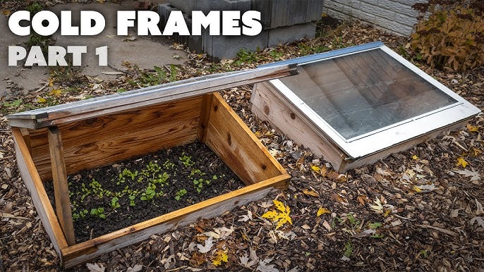 Build a Bountiful Microclimate: Grow More Food,...