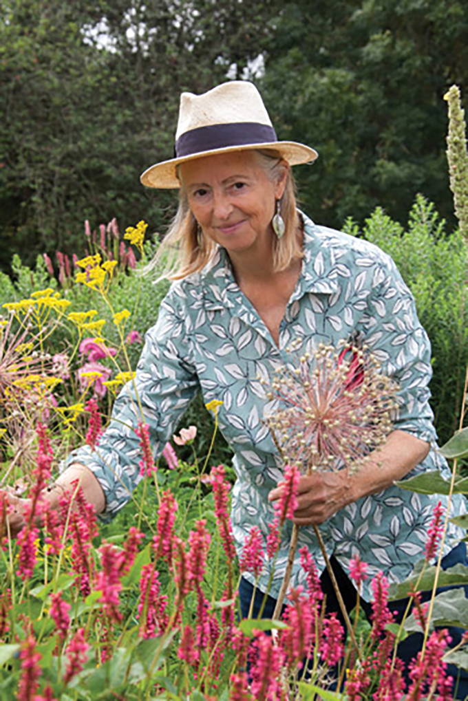 close-up of a variety of native flowering plants