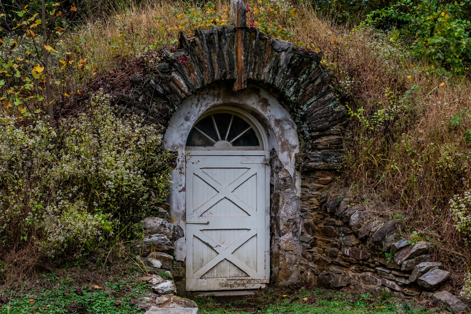 overall shot successful small root cellar