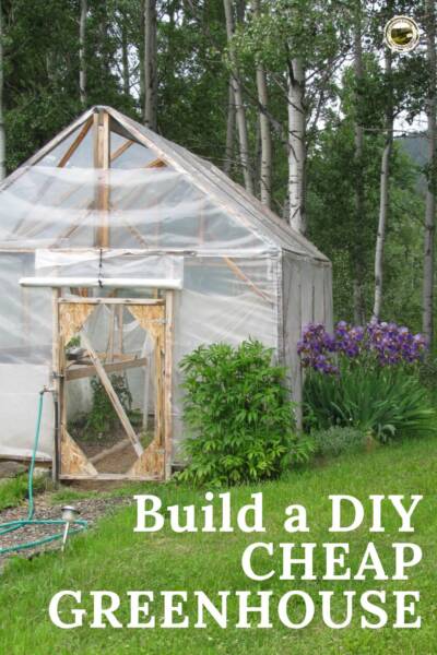 Cold Frame Dreams: Extending Your Homestead Har...