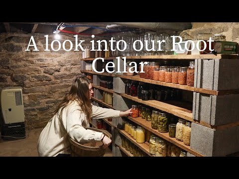 Another in-progress photo of root cellar construction