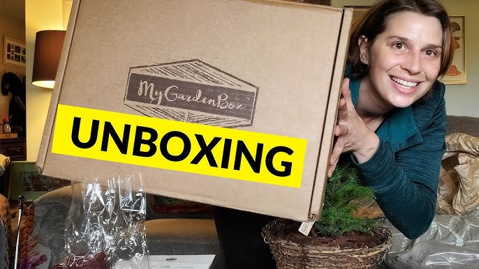 A person happily unboxing a GreenThumb Goodies subscription box, revealing a vibrant green plant and a beautifully designed care card.