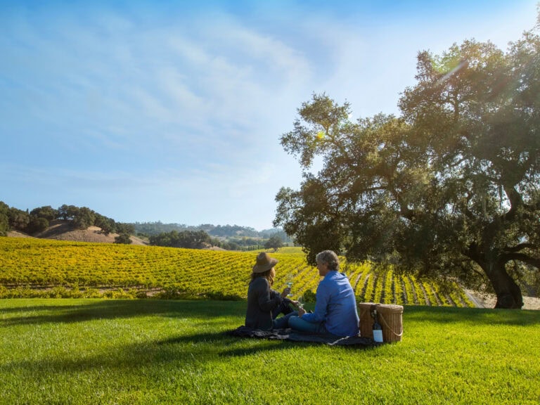 A couple enjoys a romantic picnic in a sunny vineyard in Sonoma, California.