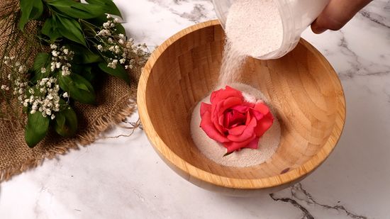 A kitchen with pressed flower art featuring herbs displayed alongside dried herb bundles and vintage kitchenware. The image conveys a rustic and functional botanicalcore aesthetic.