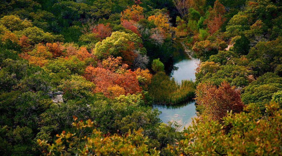 # Lost Maples in Fall: A Mother-Daughter Photograp...