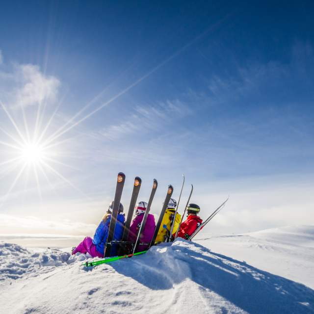 # Carving Memories: Discover Beginner-Friendly Ski...