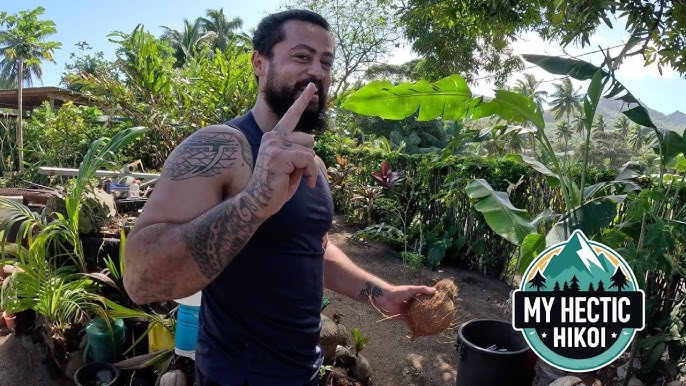 Snorkeler observing coral reef in Muri Lagoon, Rarotonga