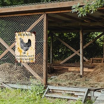 Shed to Cluckingham Palace: Converting Your Exis...