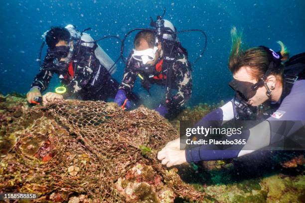 A picturesque view of a Maldivian beach with turquoise water and a net on the ground.