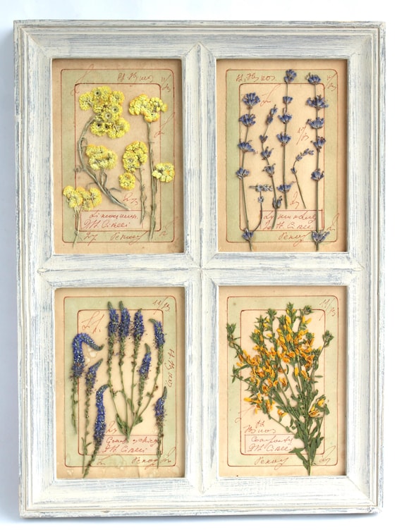 From Garden to Gallery: Decorating Your Homeste...